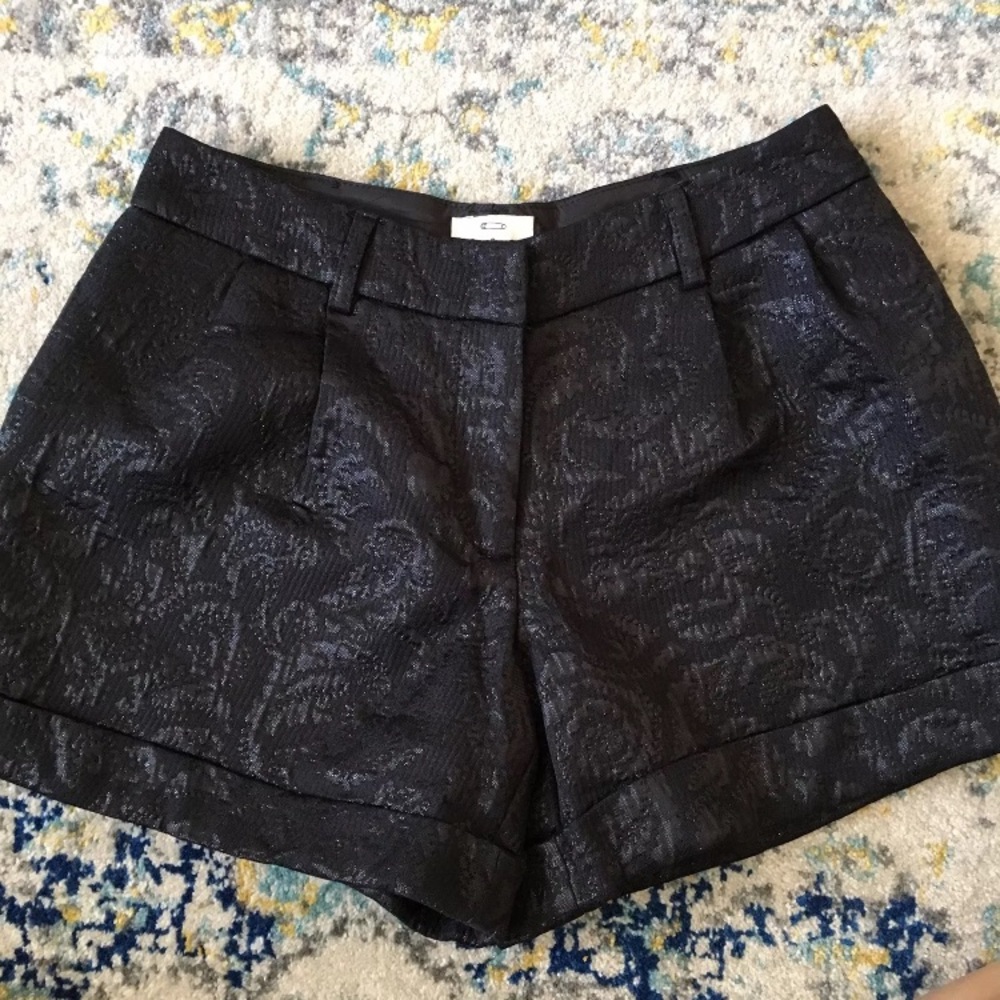 Pins & Needles Baroque Embroidered Shorts